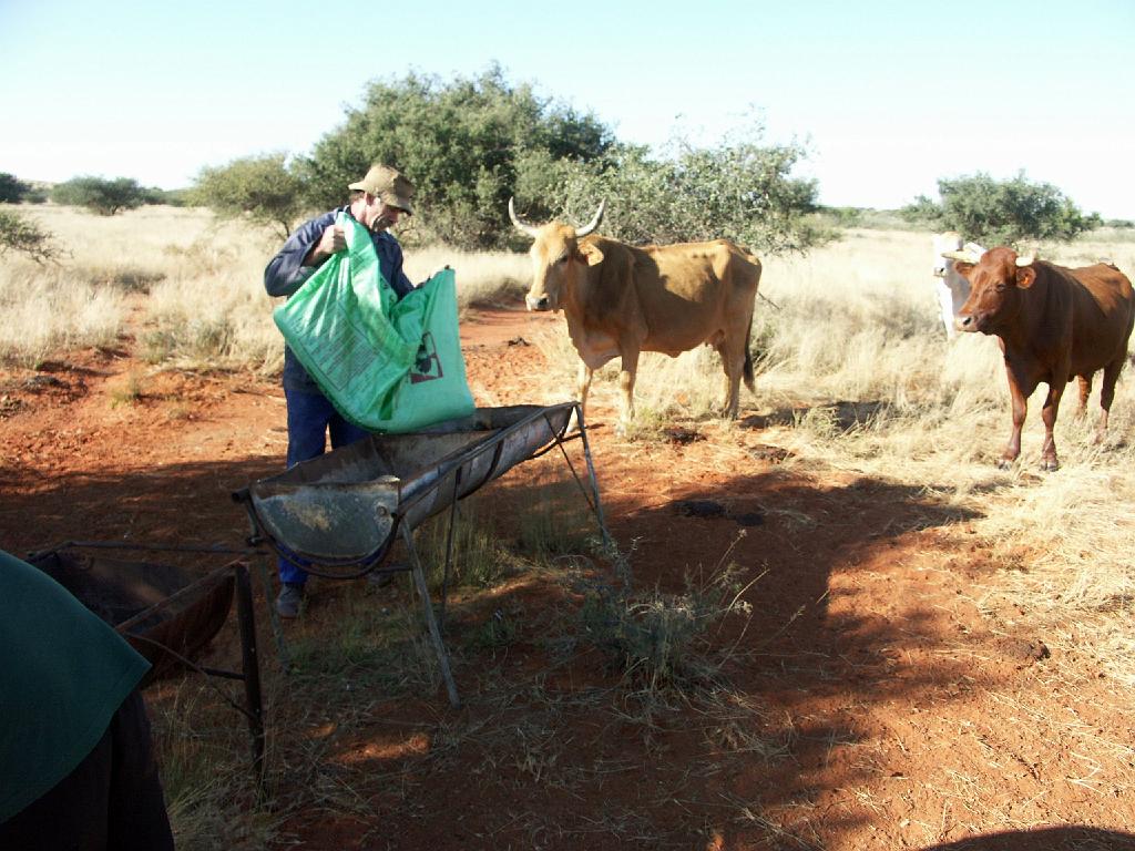 090509_South_Africa 134.jpg